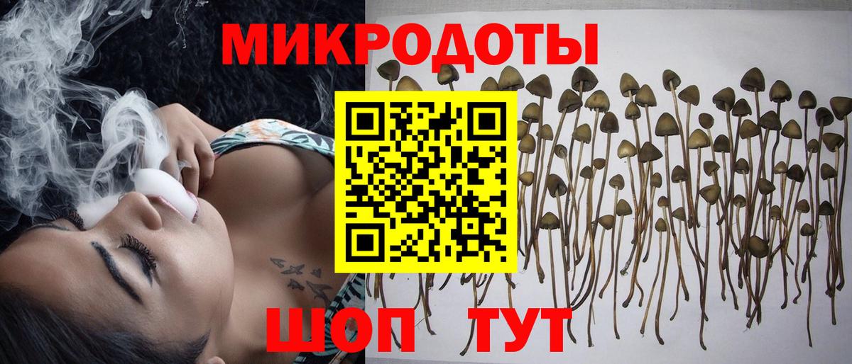 Галлюциногенные грибы прущие грибы  Галлюциногенные грибы MAGIC MUSHROOMS  Вход с VPN  Севастополь 